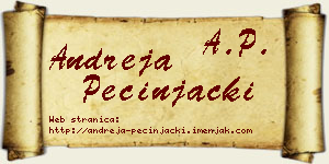Andreja Pecinjački vizit kartica